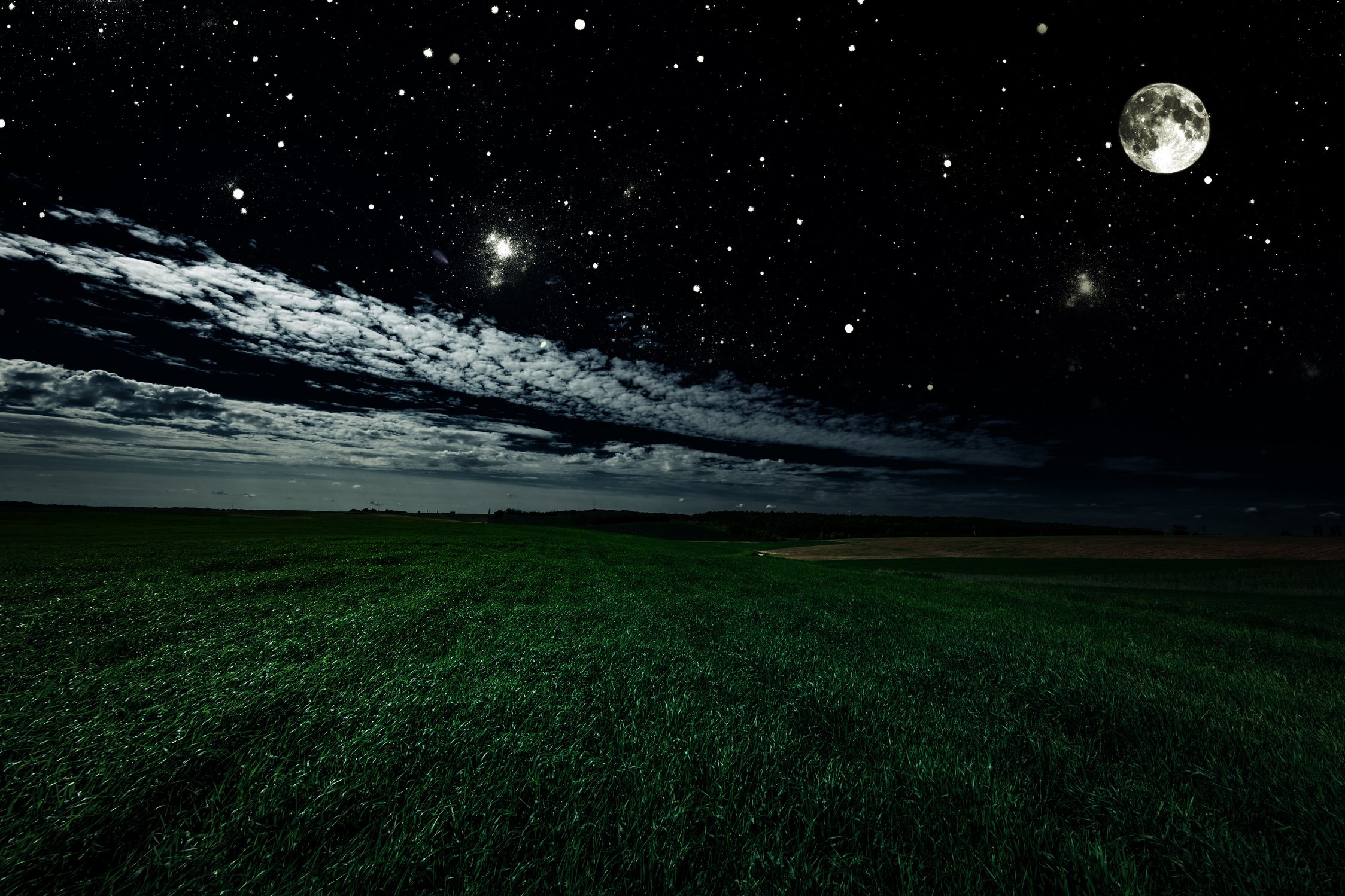 green night field. star sky